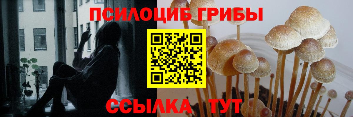 Псилоцибиновые грибы прущие грибы Кирово-Чепецк